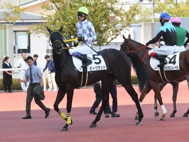 メイクデビュー阪神4Rレース後コメント】ビーグラッド武豊騎手ら | 競馬ニュース - netkeiba