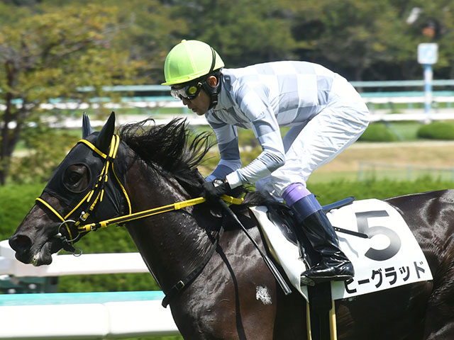 阪神4R新馬戦結果】ビーグラッドが人気に応えて逃げ切りV！ | 競馬ニュース - netkeiba