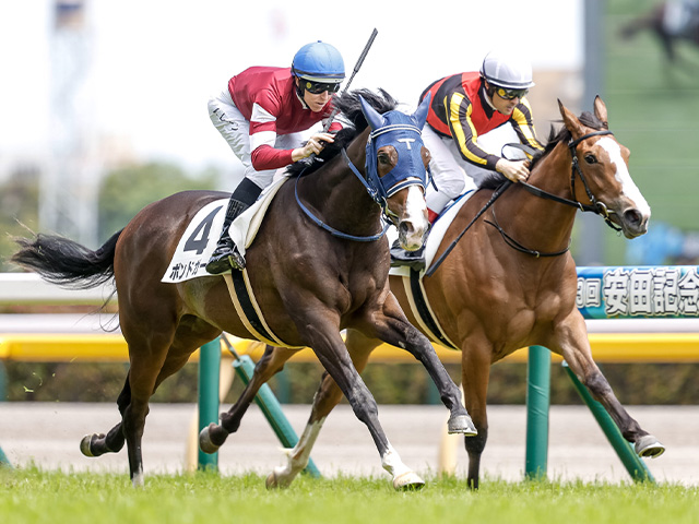 ボンドガールに敗れた馬たちのその後が凄い 早くも「伝説の新馬戦」候補に | 競馬ニュース - netkeiba