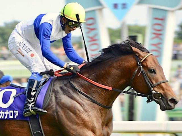 母の兄姉がG1勝ち ロードフォアエースがデビュー | 競馬ニュース