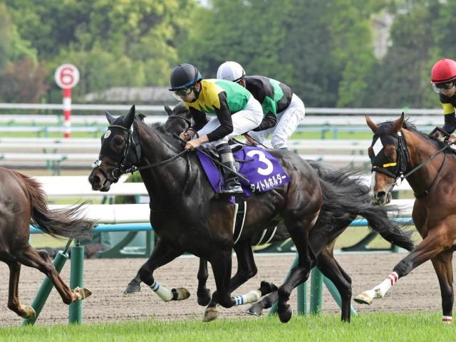 オールカマー・馬体重】タイトルホルダーは472kg(-2)、ガイアフォース