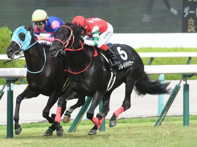 JRA・WIN5】本日のWIN5は的中1票、配当4億2878万3320円 | 競馬ニュース - netkeiba