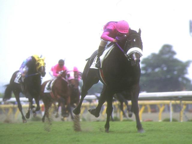 ナリタブライアン“没後25年” 今なお人々の記憶残る三冠劇 | 競馬ニュース - netkeiba