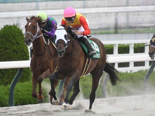 シリウスSレース後コメント】ハギノアレグリアス岩田望来騎手ら | 競馬