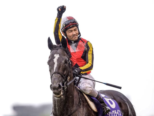 東京競馬場南部杯オッズカード - その他