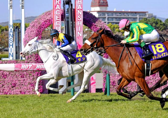 ソダシ引退セット　アイドルホース　競馬 アイドルホースミニコレクション G1馬多数 2024年3月発売