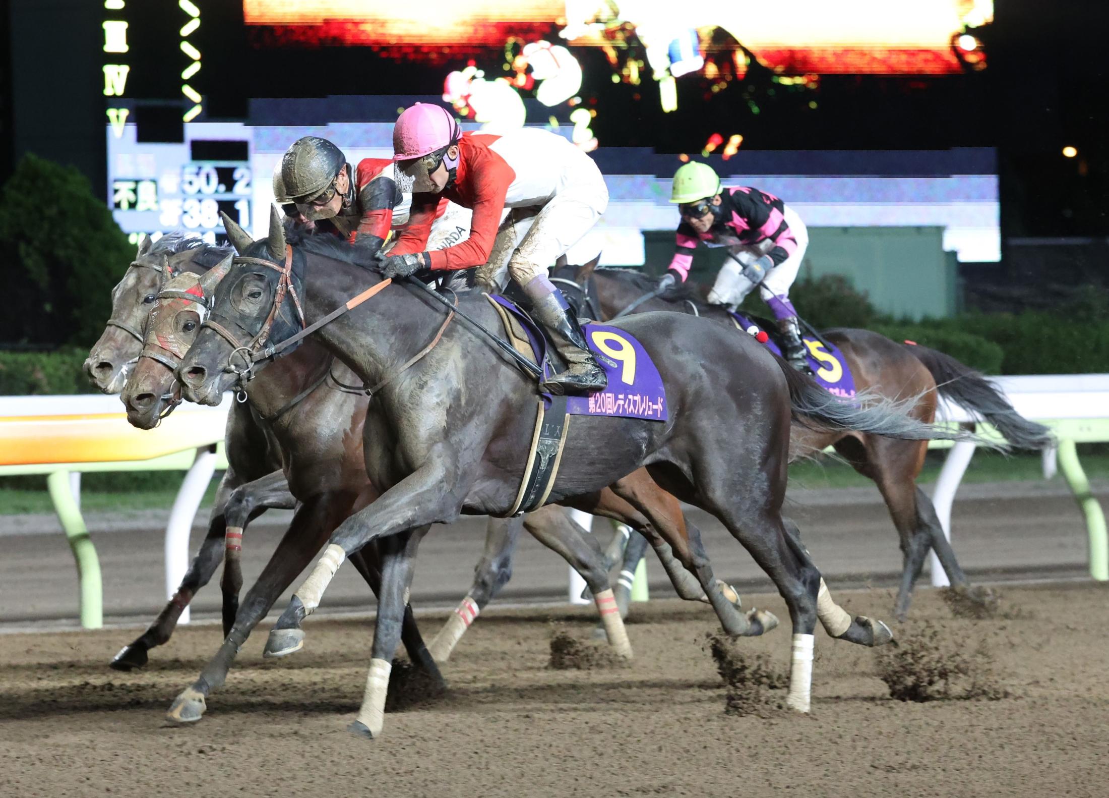 地方競馬】アーテルアストレアがレディスプレリュードで重賞初制覇 | 競馬ニュース - netkeiba