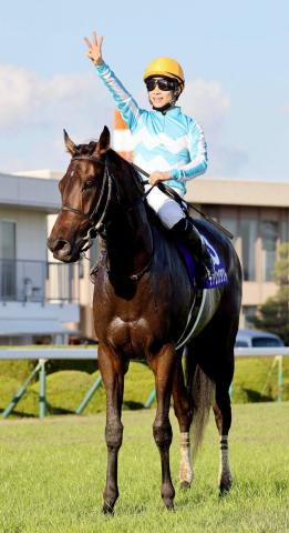 JRA史上初の無敗3冠牝馬デアリングタクト引退 杉山晴調教師「胸が詰まる思いです」 | 競馬ニュース - netkeiba