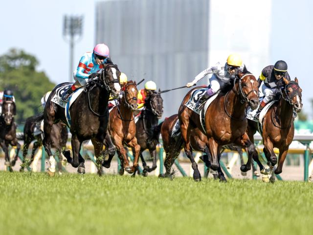 天皇賞(秋)想定】イクイノックス、ドウデュースなど11頭 | 競馬