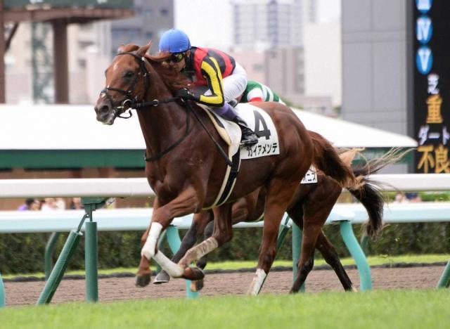 当選品】札幌競馬場 札幌2歳ステークス レプリカゼッケン ガイア