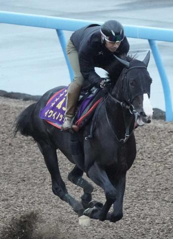 イクイノックス Wコース初時計で天皇賞・秋へ手応え、木村師