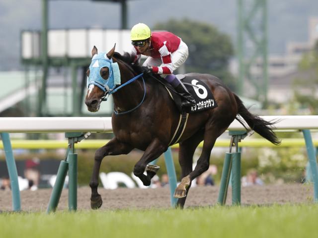 オジュウチョウサンの半妹スターチョウサン 武豊騎手で待望のデビュー | 競馬ニュース - netkeiba