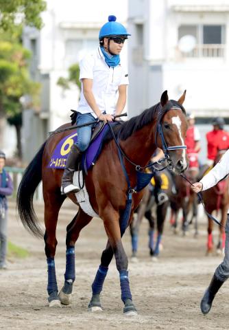 菊花賞】皐月賞馬もダービー馬も「3冠馬枠」ソールオリエンスは14番