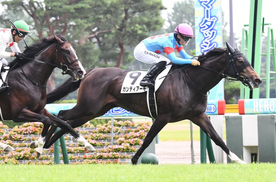 ＰＯＧ】注目レースの出走馬をまとめてみました（美浦発） | 競馬