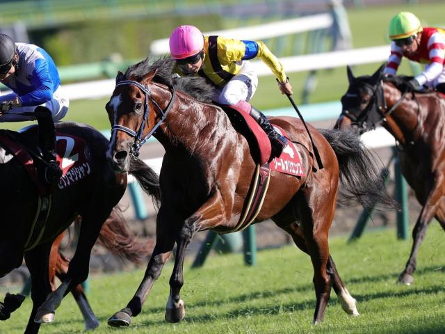 菊花賞前日オッズ】ソールオリエンスが2.9倍で1番人気 | 競馬ニュース