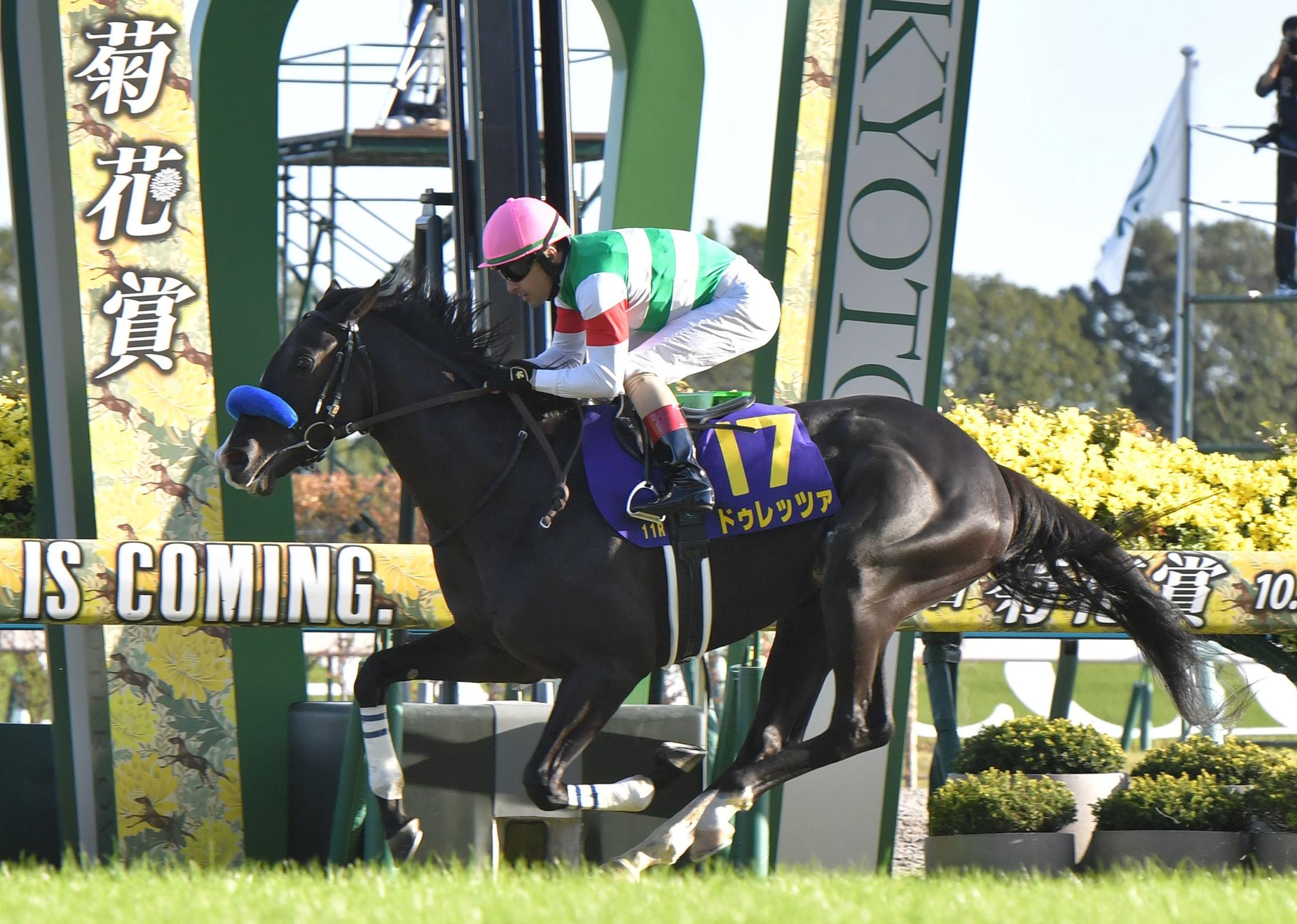 菊花賞】４番人気ドゥレッツァが破竹の５連勝でＧ１初制覇 まさに