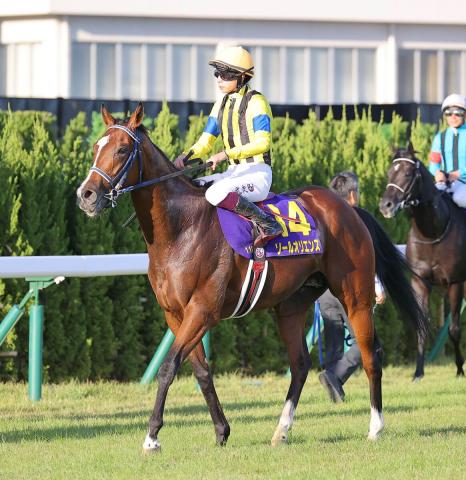 菊花賞】皐月賞馬ソールオリエンス3着、横山武史騎手「いつもの爆発力