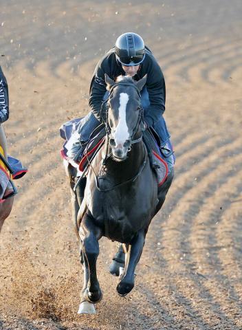 イクイノックス 競馬 ジャンパー ブルゾン ジャージ - ウエア(男性用)