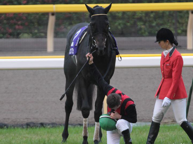 天皇賞(秋)で天覧競馬を実施 令和初の東京競馬場へ行幸 | 競馬ニュース - netkeiba