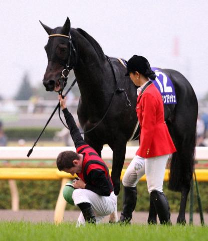 天皇賞・秋】令和初の天覧競馬 05年秋、12年秋に続き11年ぶり3度目 | 競馬ニュース - netkeiba