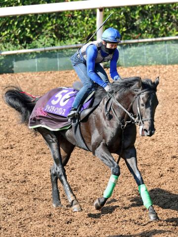 天皇賞・秋】ジャスティンパレスが血統面の最高評価 近10年の連対馬20