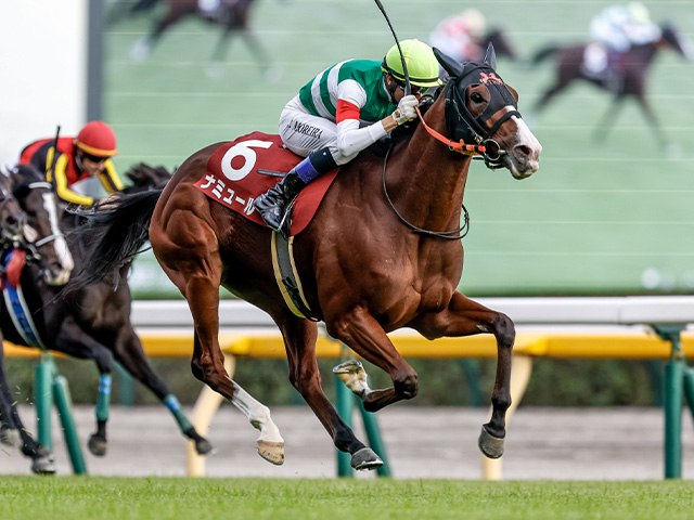 香港マイル】日本馬25頭が登録 ナミュール、セリフォス、ソウル