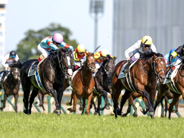 天皇賞(秋)・馬体重】イクイノックスは494kg(+2)、ドウデュースは512kg