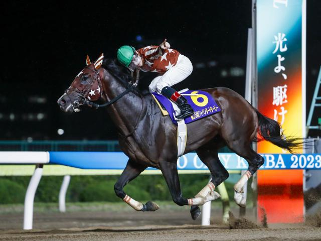 無敗三冠馬ミックファイアが1位！ 第6回地方競馬ファン投票結果発表 | 競馬ニュース - netkeiba