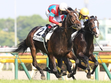 ダービー馬ワンアンドオンリーが2.9倍で1番人気/菊花賞前日オッズ