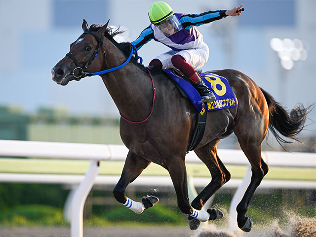 JBCスプリントレース後コメント】イグナイター笹川翼騎手ら | 競馬