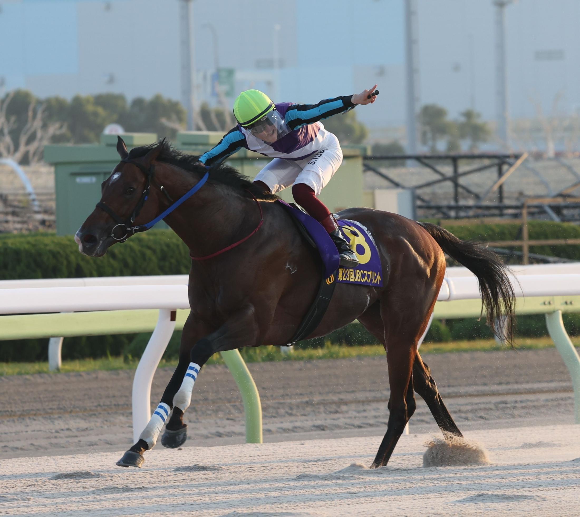 地方競馬】イグナイターがＪＲＡ勢を撃破してＪｐｎ１を初制覇 | 競馬ニュース - netkeiba