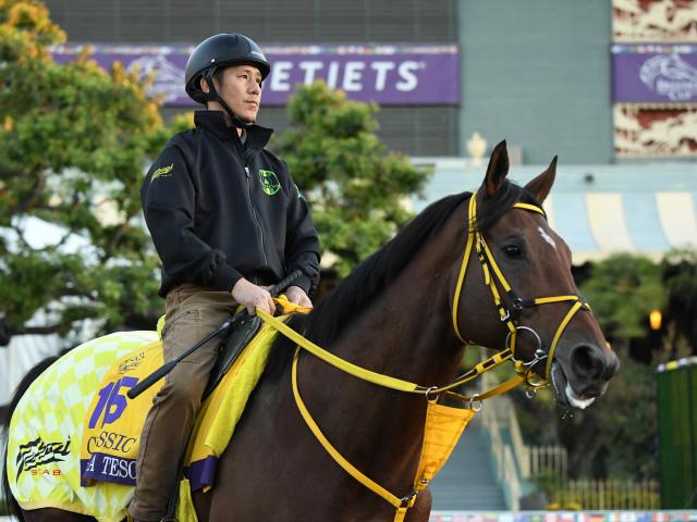 ブリーダーズカップ見どころ】日本から計8頭が参戦する“米国競馬の祭典