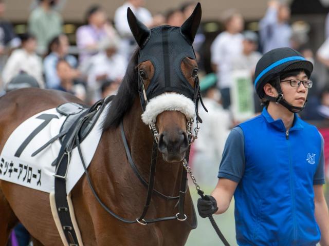 東京2R出走のミッキーアプローズが予後不良 | 競馬ニュース - netkeiba