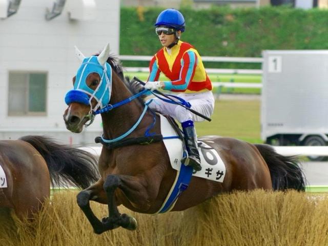 京都JS】紅一点の実力派ジャンパー ナギサが狙う33年ぶりの偉業とは？ | 競馬ニュース - netkeiba