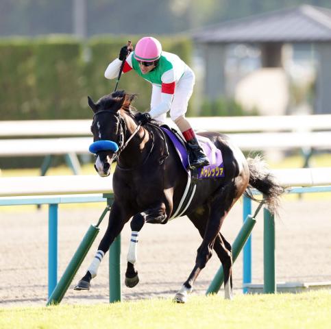 注目馬動向】菊花賞を制したドゥレッツァは選出された香港ヴァーズを