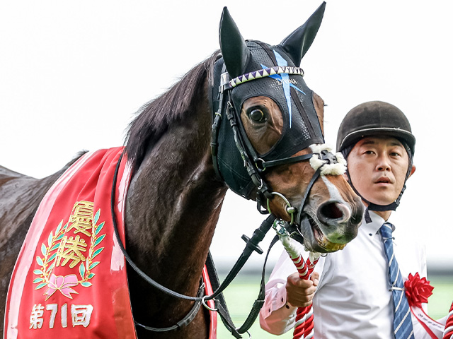 エリザベス女王杯】15頭の香港馬名・馬名意味を紹介！『神姫』『麗彩帶