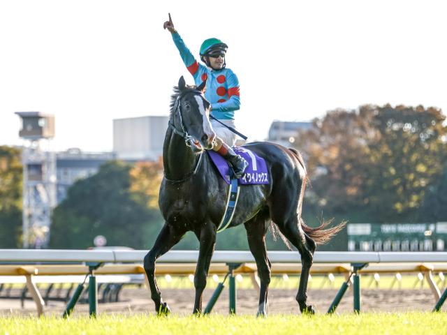 ジャパンC】イクイノックス、リバティアイランドら21頭が登録 | 競馬