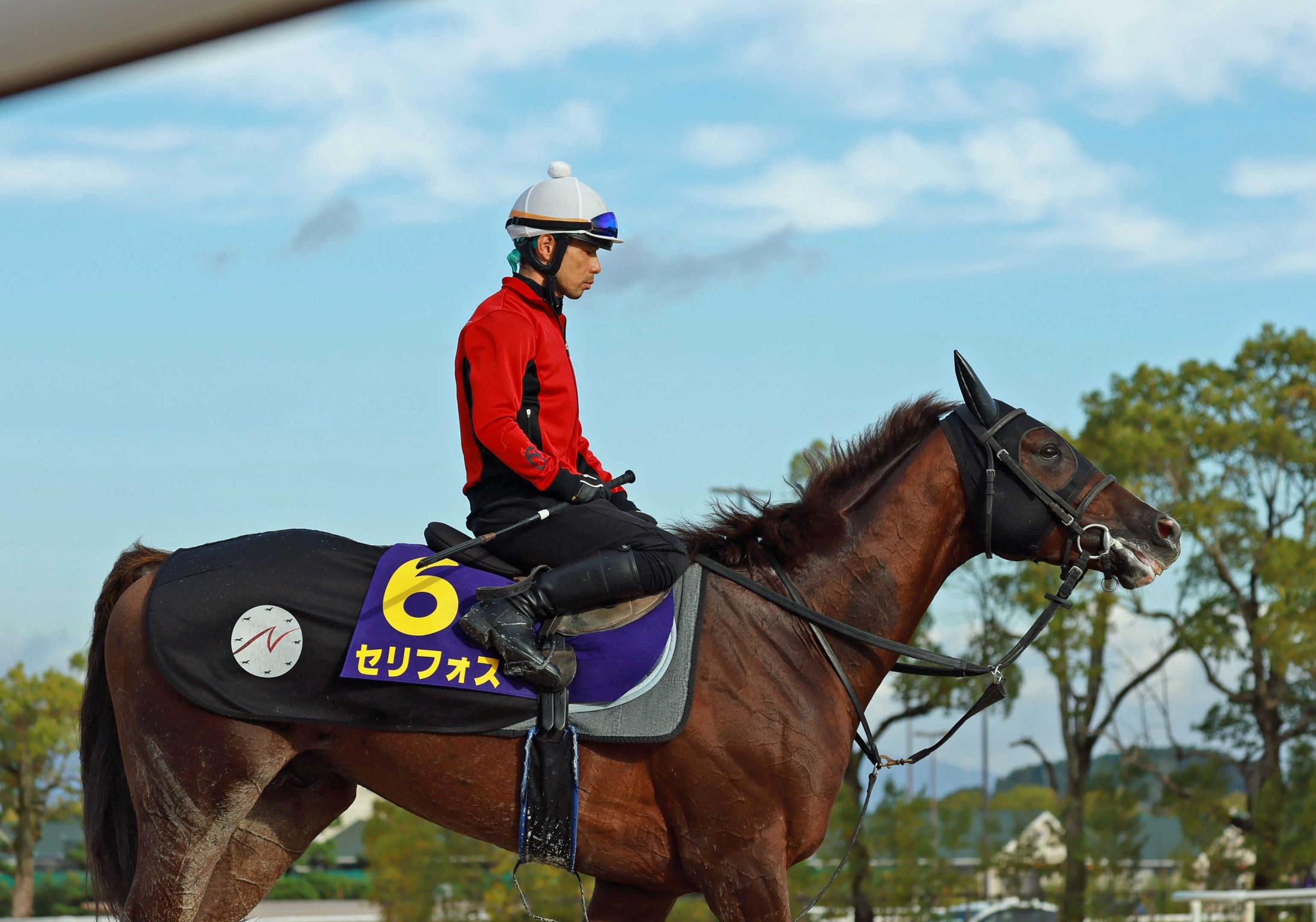 特価タイムセール 競馬 G1 セリフォス コート | revias.jp