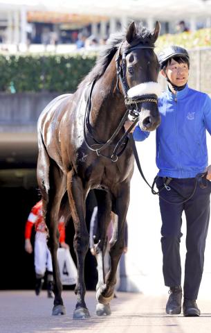 注目馬動向】2連勝のルージュスエルテが左前ザ石で阪神JFを回避 | 競馬ニュース - netkeiba