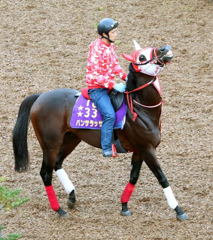 注目馬動向】パンサラッサはジャパンC出走へ 矢作調教師「使う方向です」 | 競馬ニュース - netkeiba