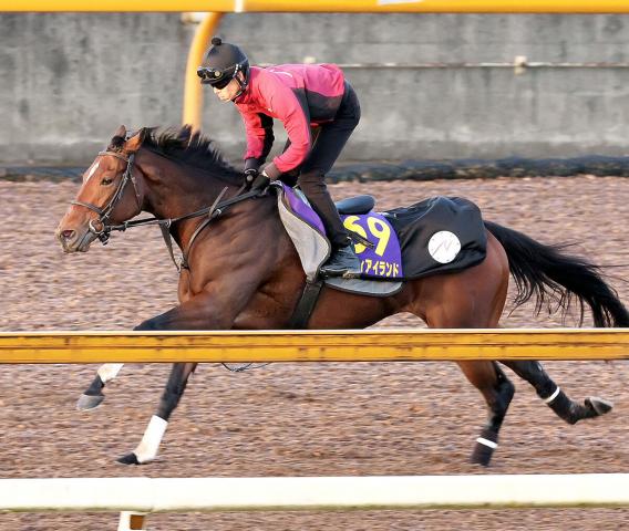 ジャパンカップ・山下の特注馬】リバティアイランドならイクイノックス