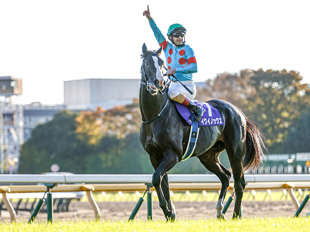 ジャパンC】C.ルメール騎手がアーモンドアイ以来の3年ぶり4勝目へ イク