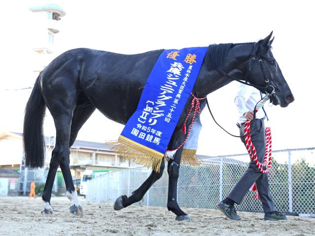 園田・兵庫ジュニアグランプリ結果】イーグルノワールが3連勝で重賞初