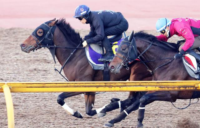 ジャパンC】3冠牝馬リバティアイランド80秒7の猛時計 川田将雅騎手「年