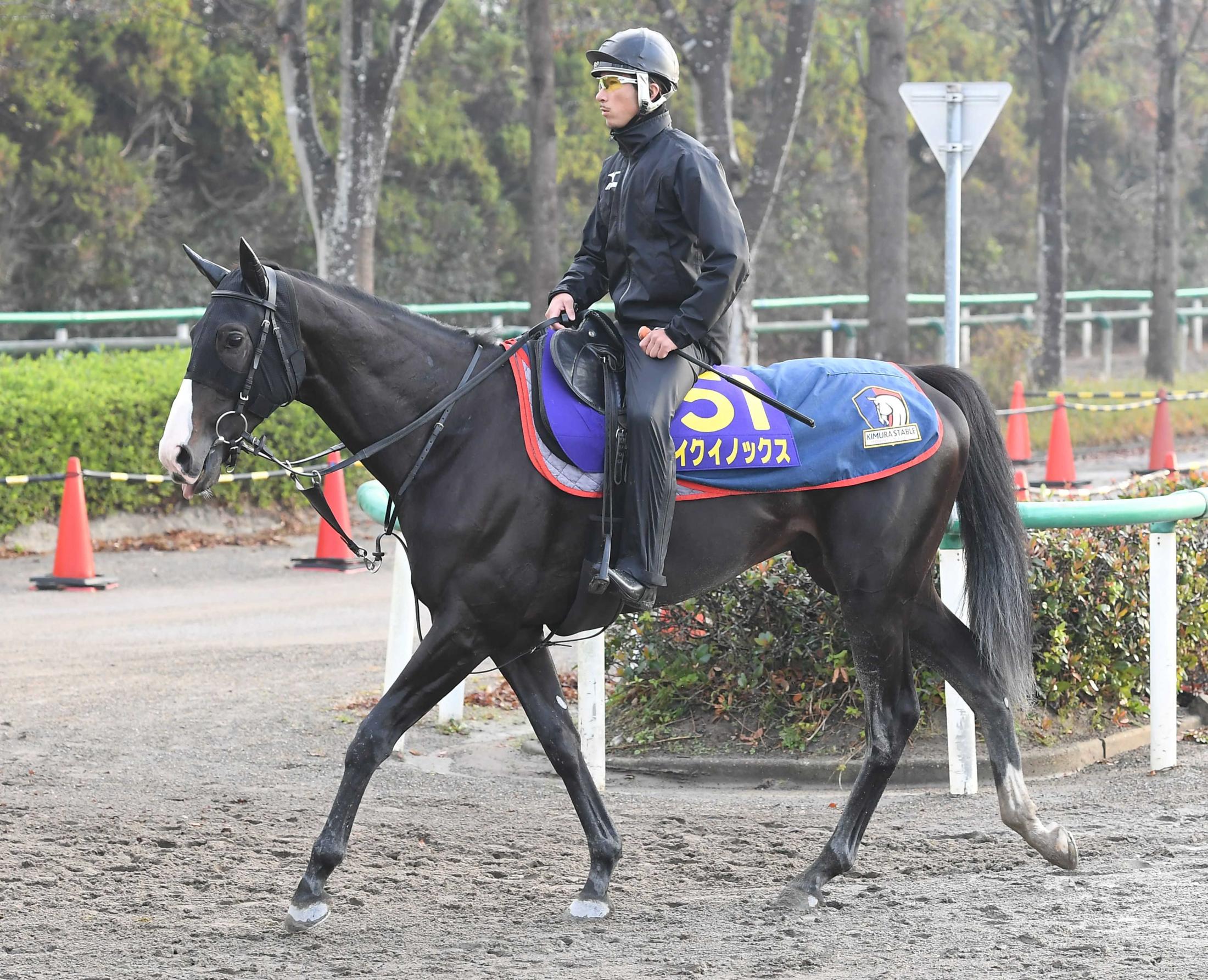 ジャパンC】イクイノックス 1枠2番も泰然自若「五分にスタートを