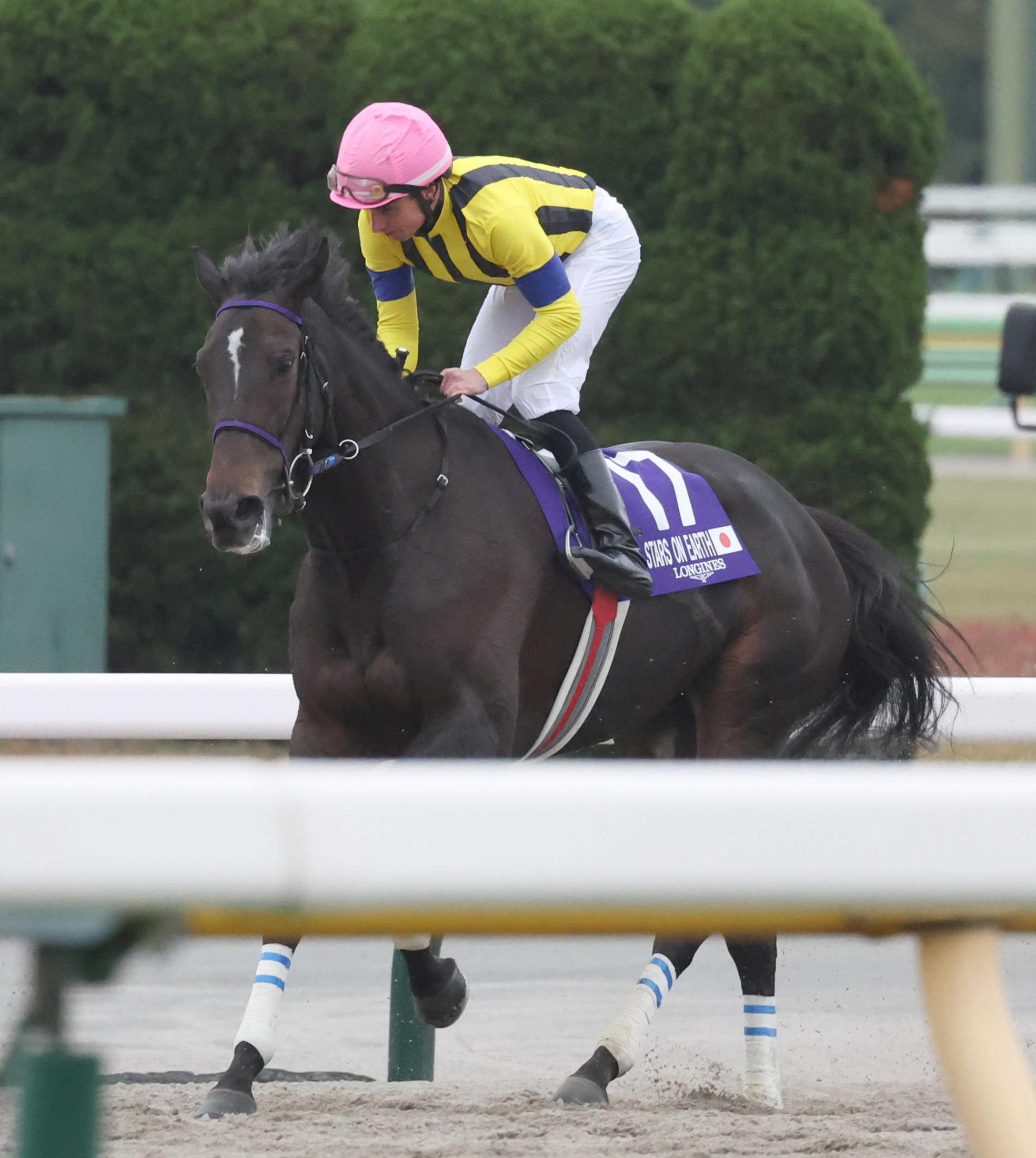 ジャパンＣ】スターズオンアース正攻法で３着 昨年２冠牝馬の意地「力