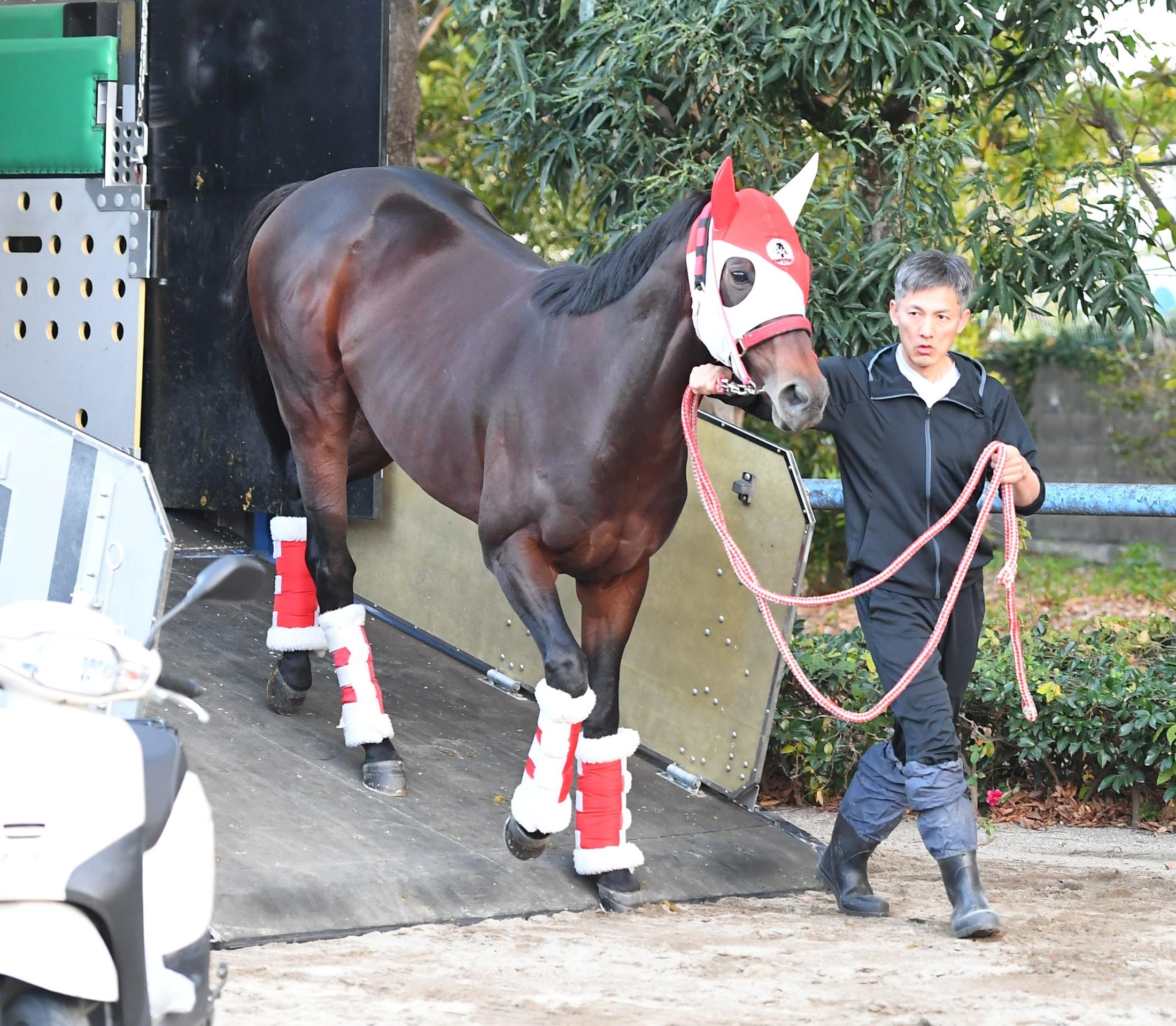 令和の逃亡者”パンサラッサ引退 矢作師「ここまでの馬になるとは想像