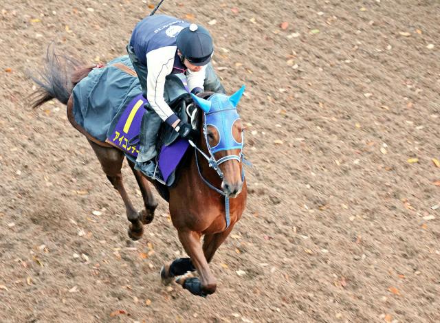 チャンピオンズC】アイコンテーラーは舞台適性を後押しする血統背景 父 