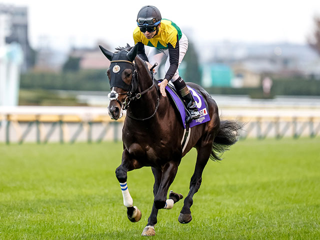 有力馬動向】タイトルホルダーは引き続き横山和で有馬記念へ 3年連続