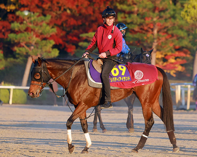 ＪＣ２着 リバティアイランド放牧へ 年内休養 中内田師「また来年、頑張っていく」 | 競馬ニュース - netkeiba